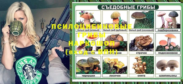 спайс Аркадак